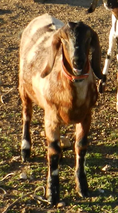 Quinn, 11/28/11