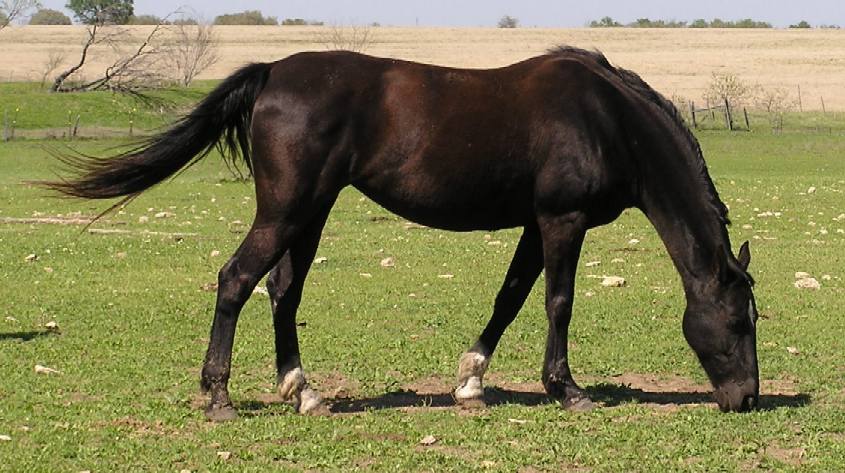 Cinder, 03/31/10